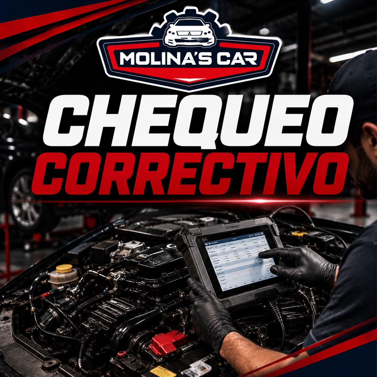 Chequeo Correctivo