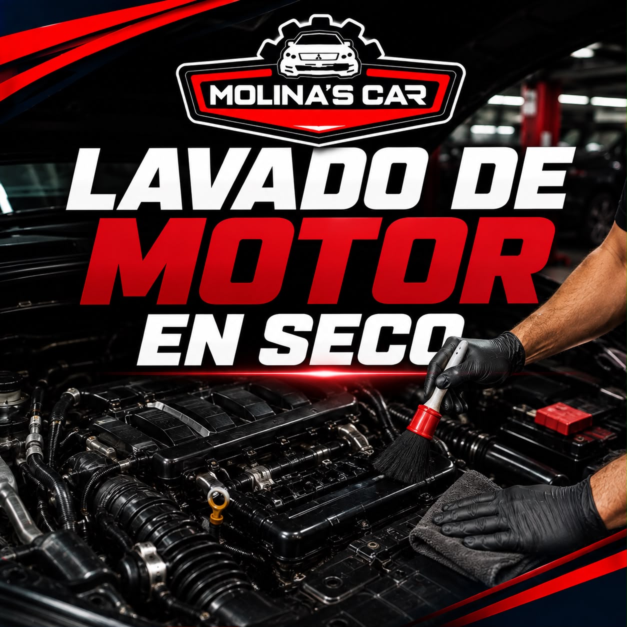 LAVADO DE MOTOR EN SECO